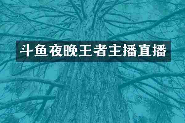 斗鱼夜晚王者主播直播