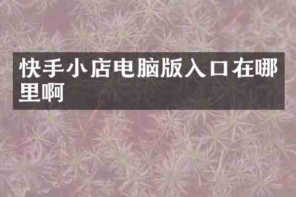 快手小店电脑版入口在哪里啊