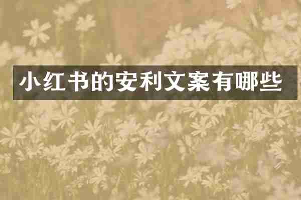 小红书的安利文案有哪些