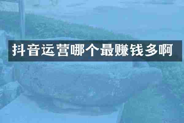 抖音运营哪个最赚钱多啊