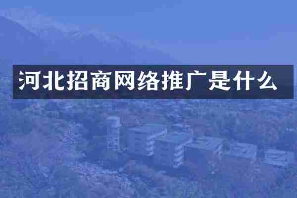河北招商网络推广是什么