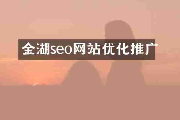 金湖seo网站优化推广