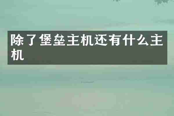 除了堡垒主机还有什么主机