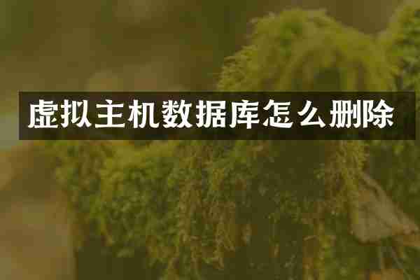 虚拟主机数据库怎么删除