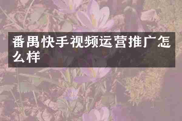 番禺快手视频运营推广怎么样