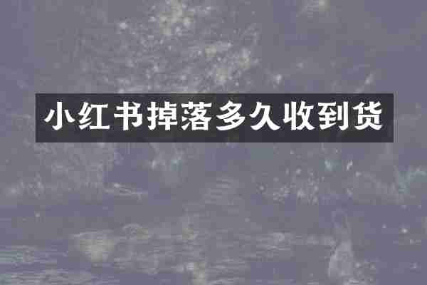 小红书掉落多久收到货