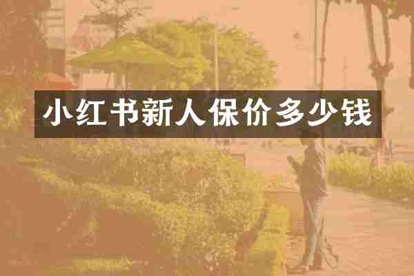 小红书新人保价多少钱