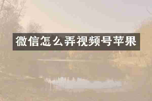 微信怎么弄视频号苹果