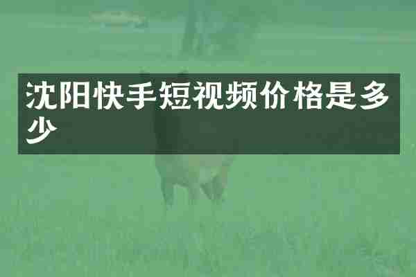 沈阳快手短视频价格是多少