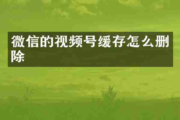 微信的视频号缓存怎么删除