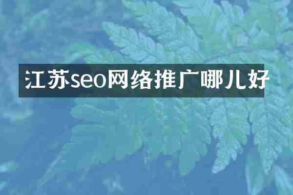 江苏seo网络推广哪儿好