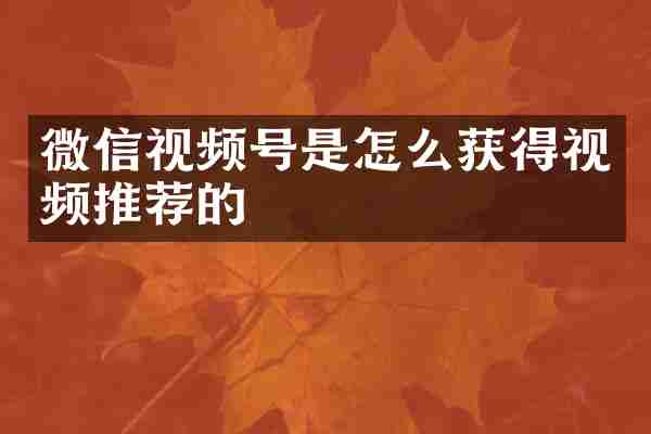 微信视频号是怎么获得视频推荐的