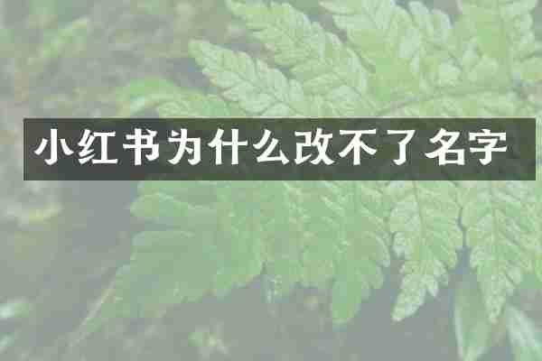 小红书为什么改不了名字