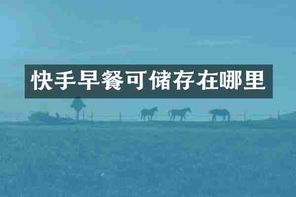 快手早餐可储存在哪里