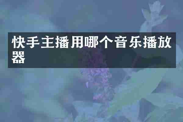 快手主播用哪个音乐播放器
