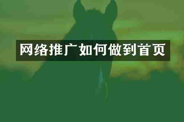 网络推广如何做到首页