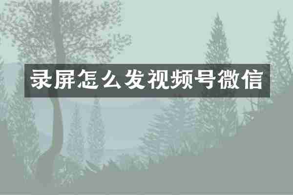 录屏怎么发视频号微信