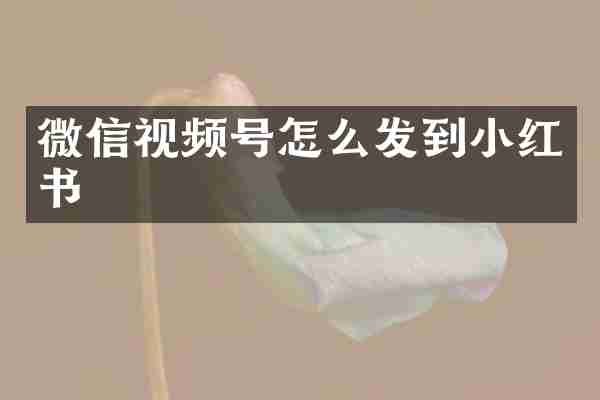 微信视频号怎么发到小红书