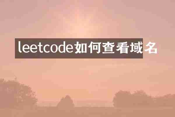 leetcode如何查看域名