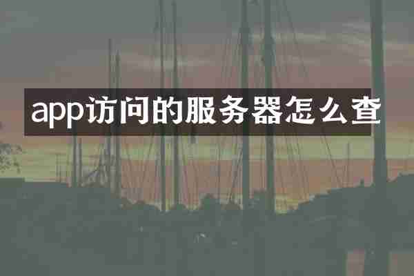 app访问的服务器怎么查