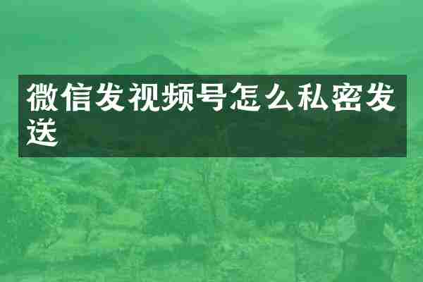 微信发视频号怎么私密发送