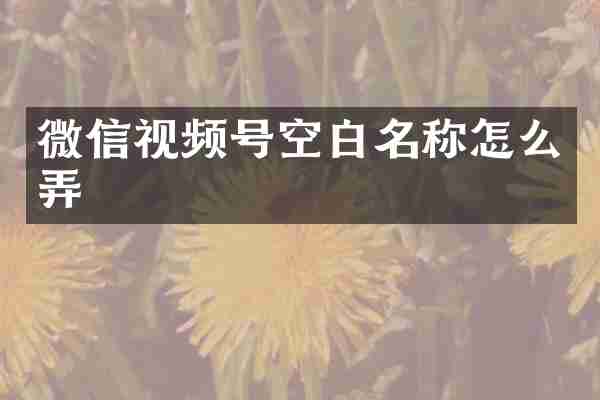 微信视频号空白名称怎么弄