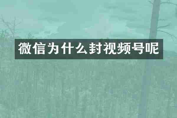 微信为什么封视频号呢