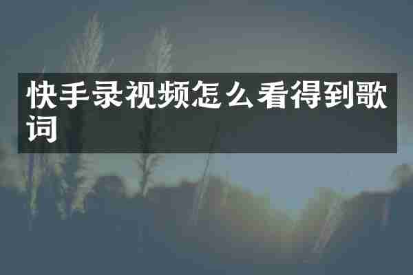 快手录视频怎么看得到歌词