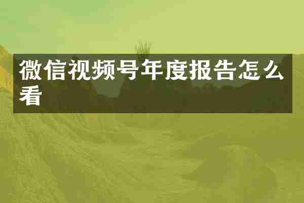 微信视频号年度报告怎么看