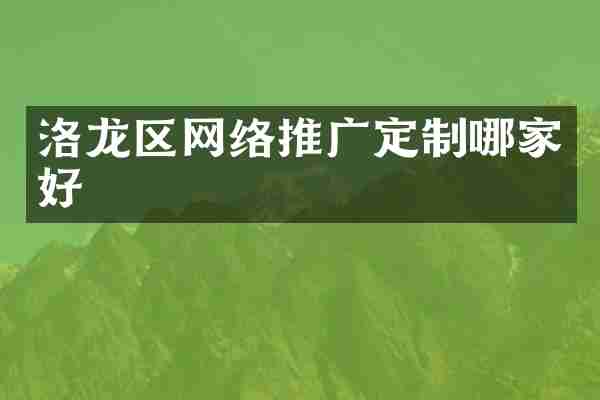 洛龙区网络推广定制哪家好