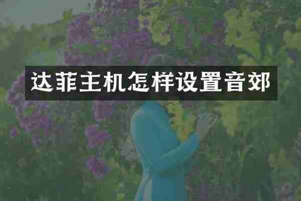 达菲主机怎样设置音郊