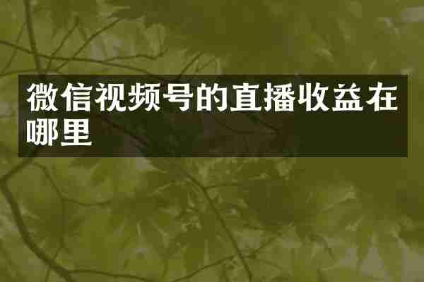 微信视频号的直播收益在哪里