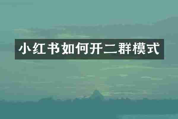 小红书如何开二群模式