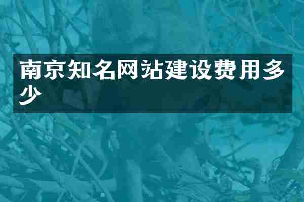 南京知名网站建设费用多少