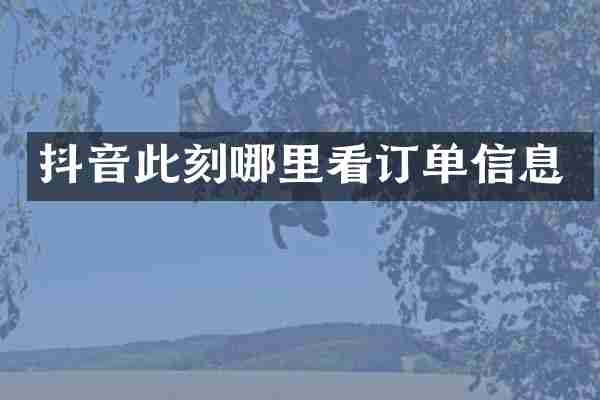 抖音此刻哪里看订单信息