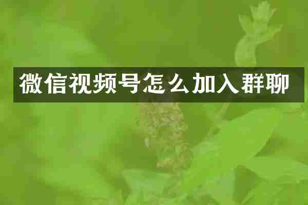 微信视频号怎么加入群聊