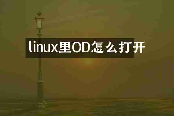 linux里OD怎么打开