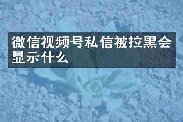 微信视频号私信被拉黑会显示什么