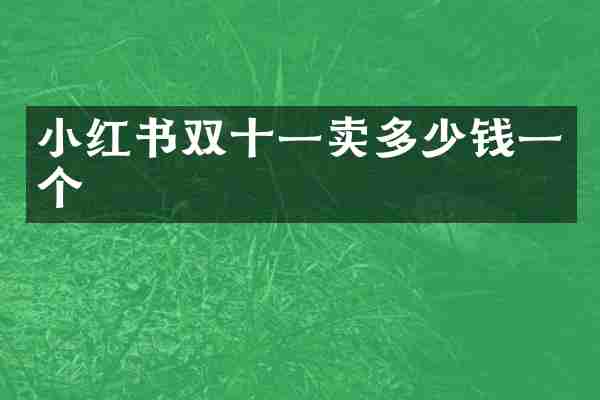 小红书双十一卖多少钱一个