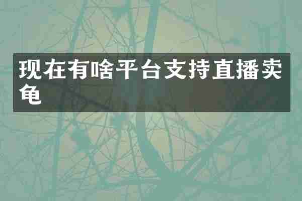 现在有啥平台支持直播卖龟