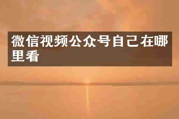 微信视频公众号自己在哪里看