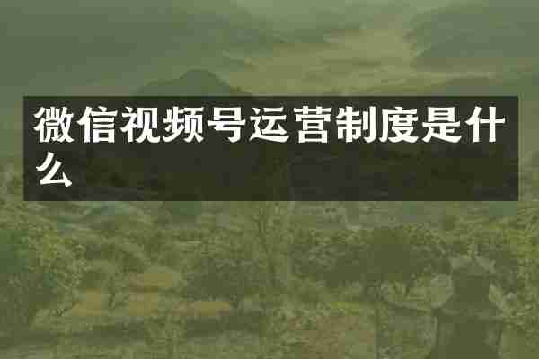 微信视频号运营制度是什么
