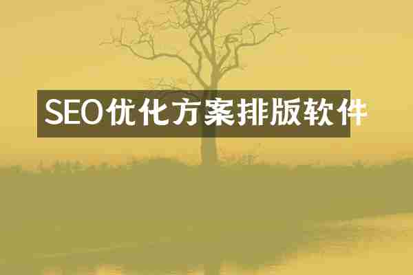 SEO优化方案排版软件