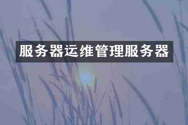 服务器运维管理服务器