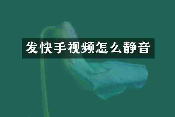 发快手视频怎么静音