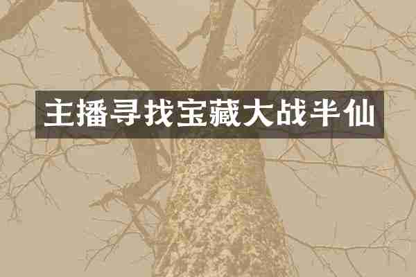 主播寻找宝藏大战半仙