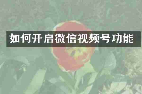 如何开启微信视频号功能