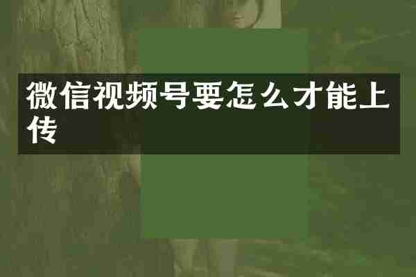 微信视频号要怎么才能上传