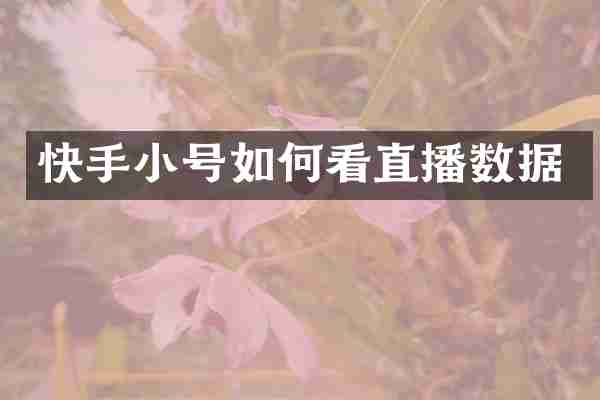 快手小号如何看直播数据