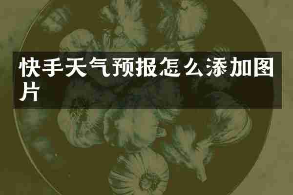 快手天气预报怎么添加图片